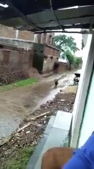Tesla model Rakesh