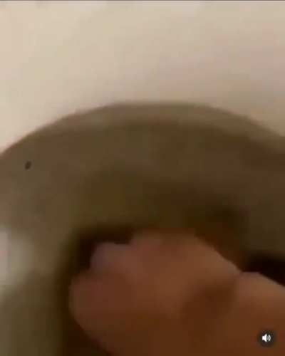 Here you go pal
