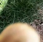 Quack Vlogger! 🥰