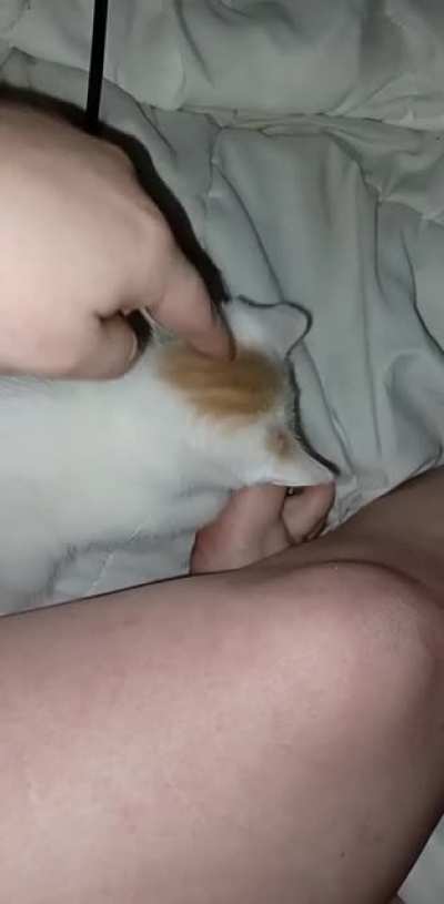 Stop bitin mah toehhh