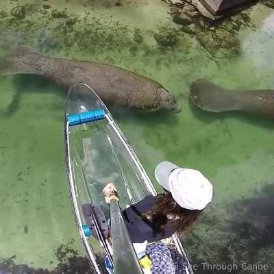 Florida Traffic Jam