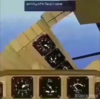 Arañas nooo!