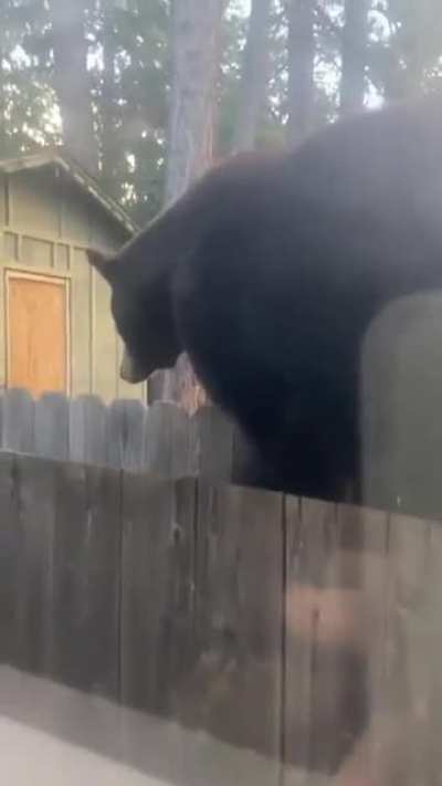 This unit dropping by my friends house