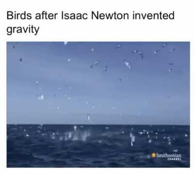 They be falling like hell