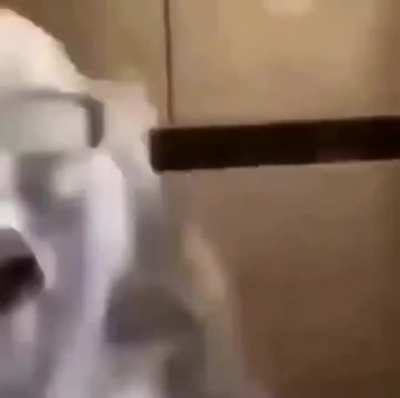pal MCLMI