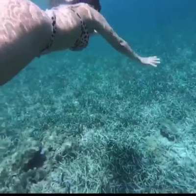 🏊‍♀️