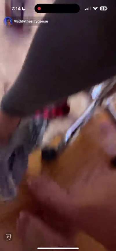 Maddythesillygoose