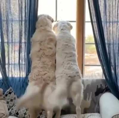 Synchronization