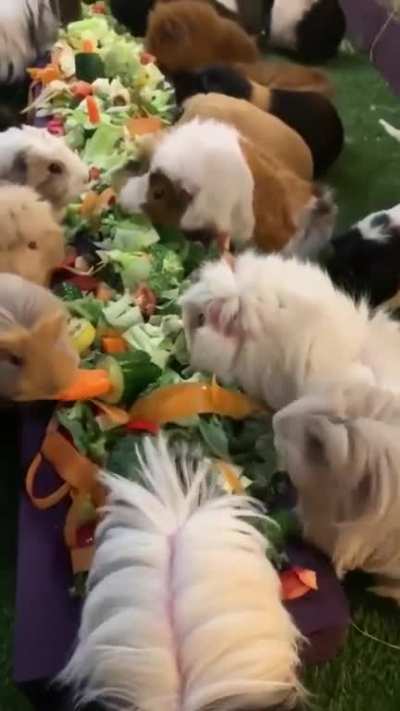 Family Gathering