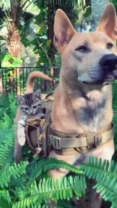 Немного позит<wbr>ивчик<wbr>а