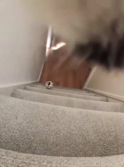 nfc