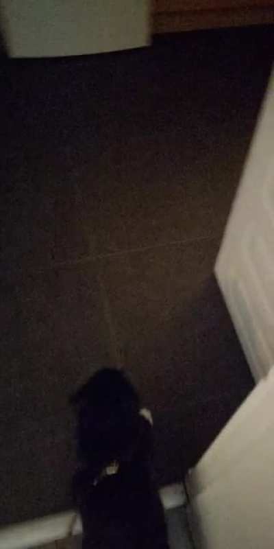 Ello
