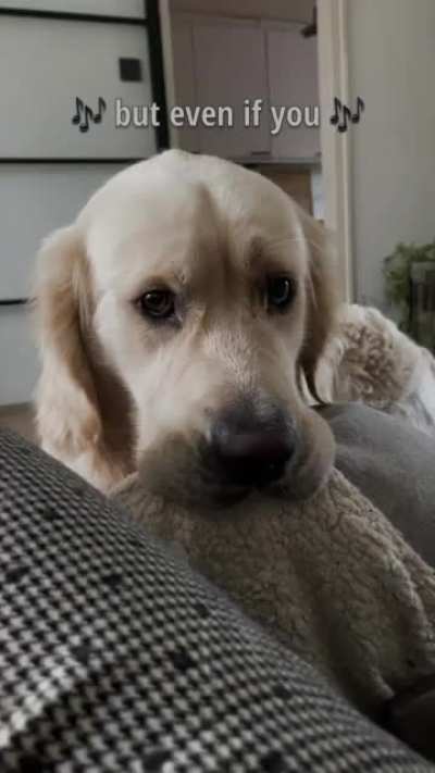 Can I interest you in a BOOP? [OC]
