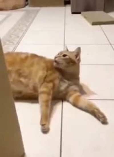 I’m sorry, little one