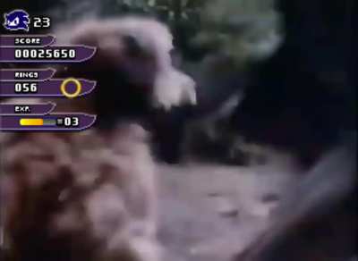 Werehog chases a rex and dies