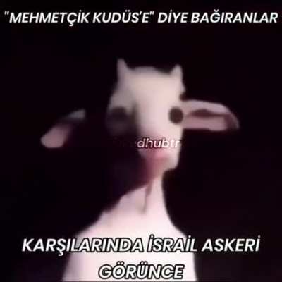 Mehmetçik Kudüs'e diye bagiranlar karşı<wbr>ların<wbr>da İsrail askeri görünce