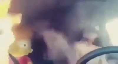 cursed_vibe
