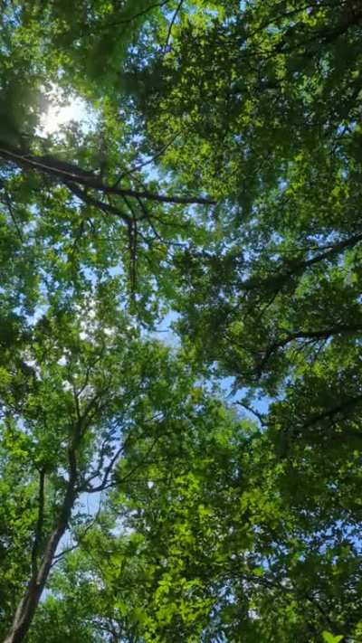 Look up.