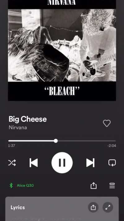 Interesting scream