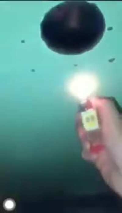 curse<wbr>d_glo<wbr>ryhol<wbr>e