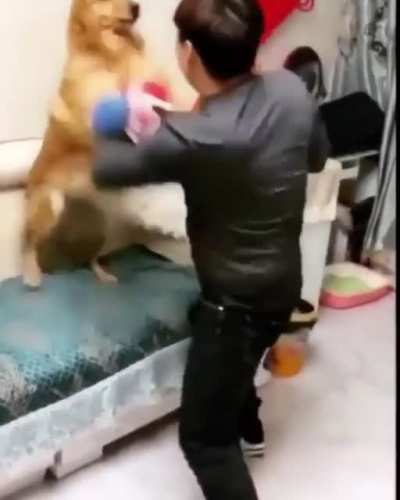 I want a good clean fight, Let’s get it on.