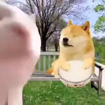 MEMES , DOGS & LOVE ARE THE WAY