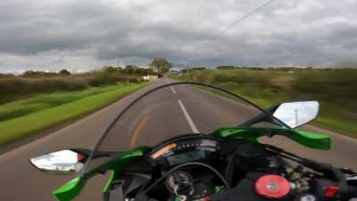 Twisties