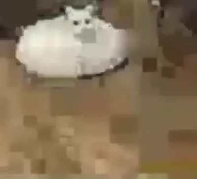 AAAAAAAAAAAAAAAAAAAAAAAAAAAAAAAAA