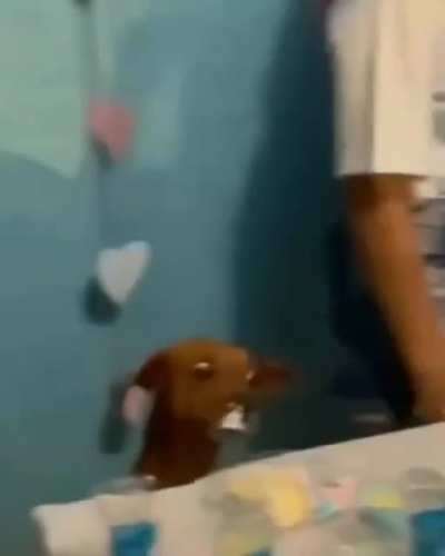 Eu nas festas