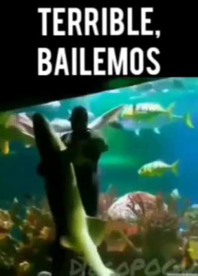 El país está en Crisis pero no hay pedo