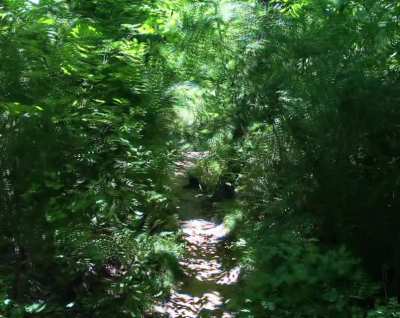 I took the road less traveled