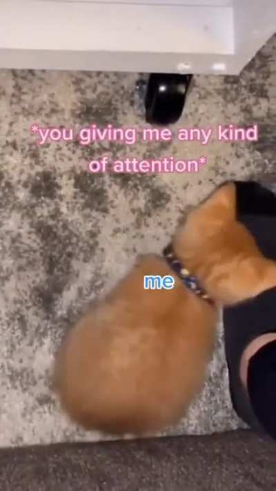 me_irl