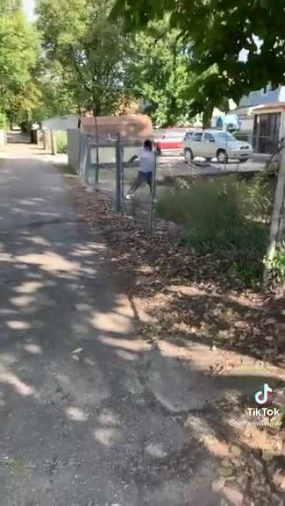 Guy tries to whack down a huge hornets nest.