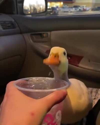 Ŕ̴̨̨̨̢̧̢̨̨̧̡̢̧̧̢̠̞͓̘͍̯̙̗̭͓͉̙̫̮̗͖̜̪̞̦̝̜̳̪̪͖͍̙͖͚̘͔͈̭̠̳͍̻̠̥̥̗̦͚̱̜̭͎͙͈͙͎͇̲̜̭͕̜̝̺̻͚̮͖̺͍͓͖̼͍̩̗̮̖̼͈͓̥͇̫͔̟̦͙̭͍̻͓̫̲͎̺̼̩̺̩͖͚̜̱̗̥͈͎̭̹̹͉͎͔̫̘̪̩͈̺̻̠͍̝̪̙̳͙̟͙̟̳̠̞̥̙͔̟̠̻̼̻̮͈̗̭͍̝̪̠͖̼͍̹͎̫͇͙̯͈̲̼̦̼͉̙̺̻̯̺̦̮͇̱͙͕͖̭̳̹͚̘͓͚̥̞̜͙̜̙̫͎̠̣̪̫̟͓̖̮̜̘͙̤͔͔̳̠̳̫̮͇̝̥̬̉̐͊̾͑͊͂̑̋̈́͋͌̄̀̅́͘͜͜͜͜͝ͅͅͅͅͅ