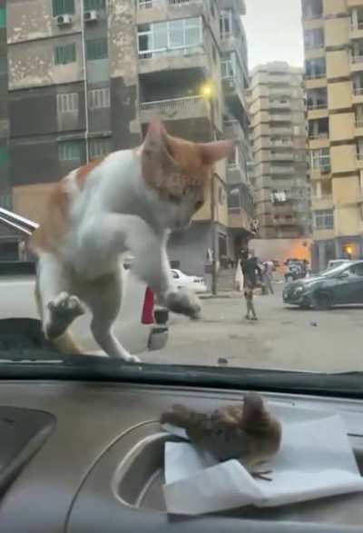 Get over here!