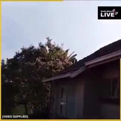 Het julle geweet een tamatie kan die hele buurt wakker maak
