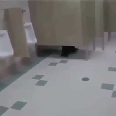 Yo despues de comer en “Que Salchicha”