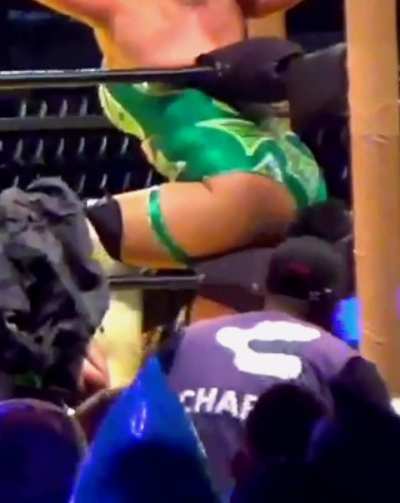 Stinkface Taya V.