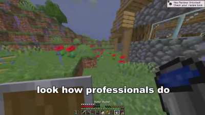 Look how professionals do