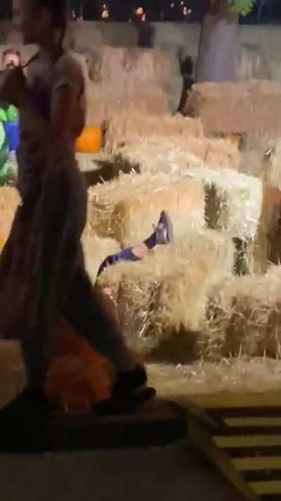 You never know what you’ll see at Boo At The Zoo...