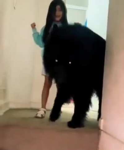 Maybe Maybe Maybe 