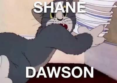 Cat imma kitty cat