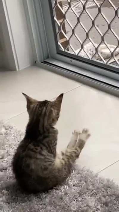 My cutie is sitting.