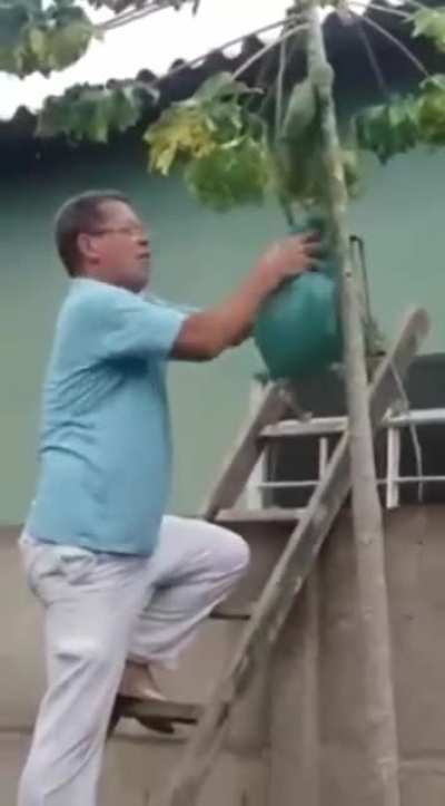 How to NOT safely remove a wasp nest