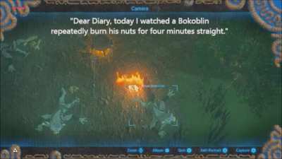 A Brief Study of the Intelligence of the Average Silver Bokoblin