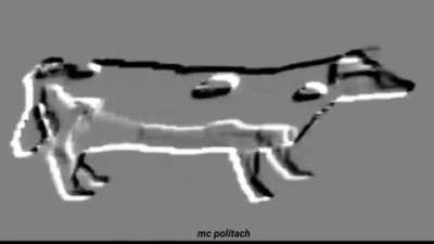 MAAU - Video #2225