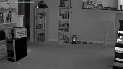 Nothing like a little thunder to get a chonkster moving(sorry no sound)