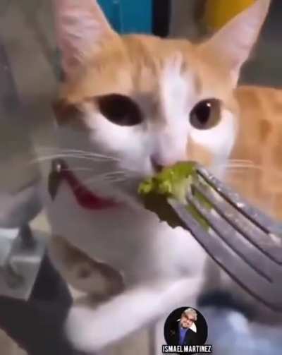 Eat your greens 🥬