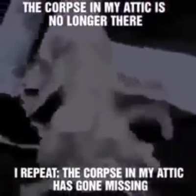I can hear it scratching the walls