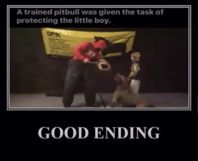 The Good Ending